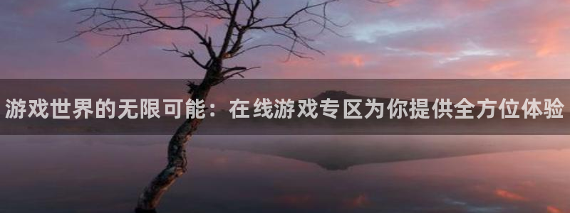 鼎点娱乐注册官方登录app：游戏世界的无限可能：在线游戏专区