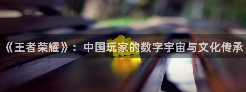 鼎点娱乐网页登录入口官网：《王者荣耀》：中国玩家的数字宇宙与