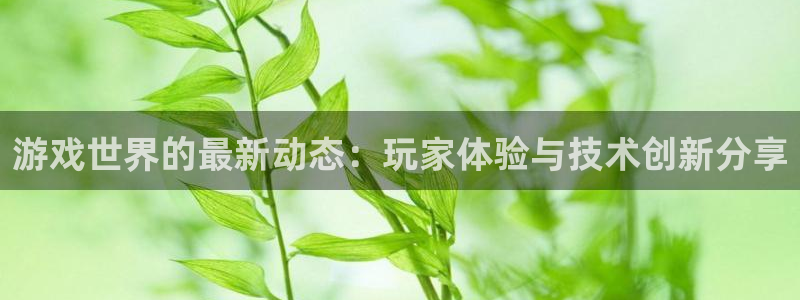 鼎点娱乐在线登录：游戏世界的最新动态：玩家体验与技术创新分享