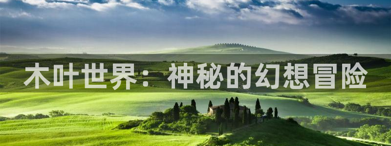 鼎点娱乐Ii：木叶世界：神秘的幻想冒险