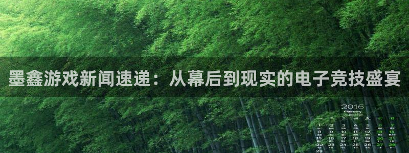鼎点娱乐是什么：墨鑫游戏新闻速递：从幕后到现实的电子竞技盛宴