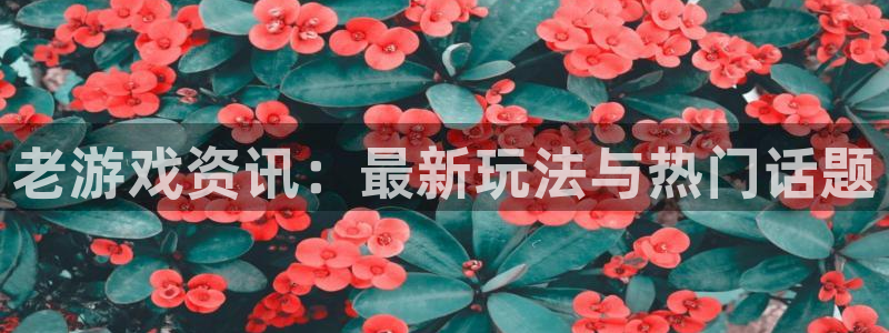 沐春鼎点娱乐：老游戏资讯：最新玩法与热门话题