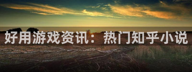 鼎点娱乐线路测试：好用游戏资讯：热门知乎小说