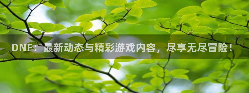 鼎点娱乐网页登录入口下载：DNF：最新动态与精彩游戏内容，尽