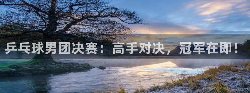 cba绿茵直播：乒乓球男团决赛：高手对决，冠军在即！