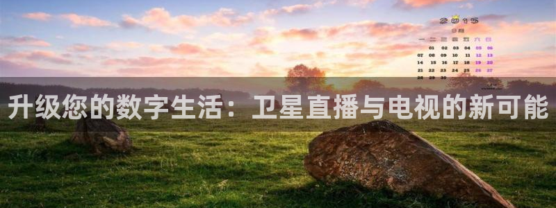 绿茵直播体育在线观看免费下载：升级您的数字生活：卫星直播与电视的新可能