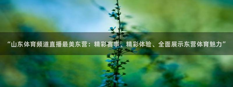 cba绿茵直播：“山东体育频道直播最美东营：精彩赛事、精彩体验、全面展示东营体育魅力”