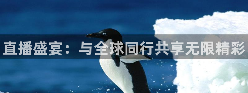 绿茵直播体育nba送红红单v2.红单足球.top：直播盛宴：与全球同行共享无限精彩