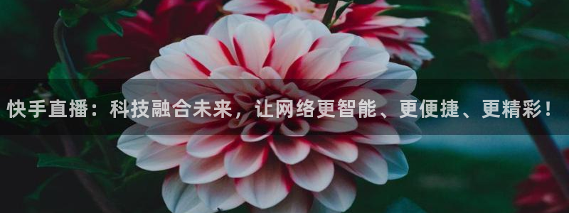 绿茵直播篮球：快手直播：科技融合未来，让网络更智能、更便捷、更精彩！