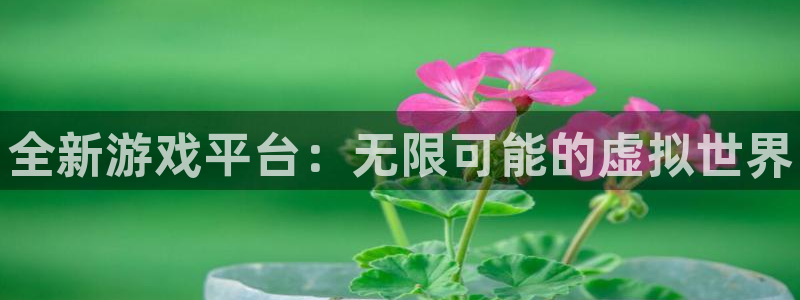鼎点娱乐科技：全新游戏平台：无限可能的虚拟世界