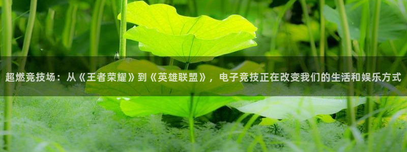 鼎点娱乐登陆测速：超燃竞技场：从《王者荣耀》到《英雄联盟》，