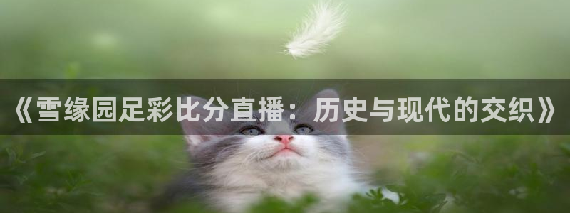 绿茵足球吧：《雪缘园足彩比分直播：历史与现代的交织》
