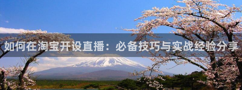 足球直播绿茵体育：如何在淘宝开设直播：必备技巧与实战经验分享