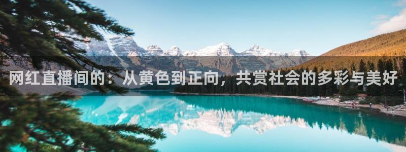 绿茵直播体育在线观看：网红直播间的：从黄色到正向，共赏社会的多彩与美好