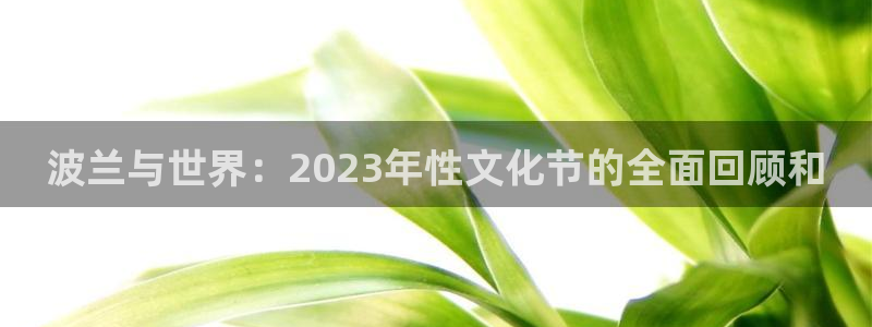 绿茵体育app下载：波兰与世界：2023年性文化节的全面回顾和